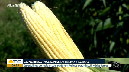 Congresso Nacional de Milho e Sorgo será realizado no Centro de Convenções, em Palmas