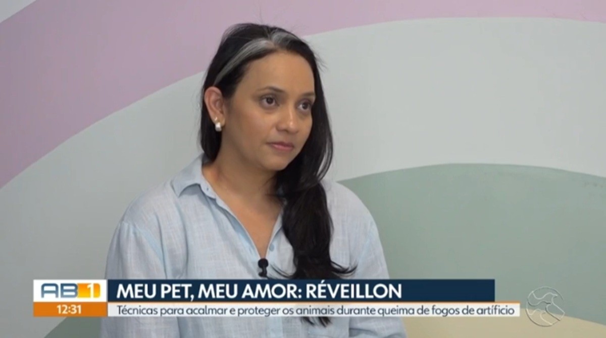 Veterinária dá dicas de como acolher seu pet durante a queima de fogos no Réveillon