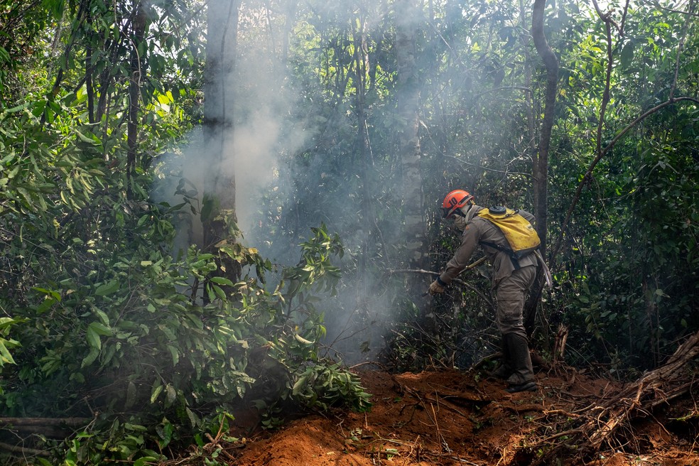 Fica proibido o uso de fogo em reas rurais para limpeza e manejo, levando em considerao o risco de incndios florestais  Foto: Divulgao