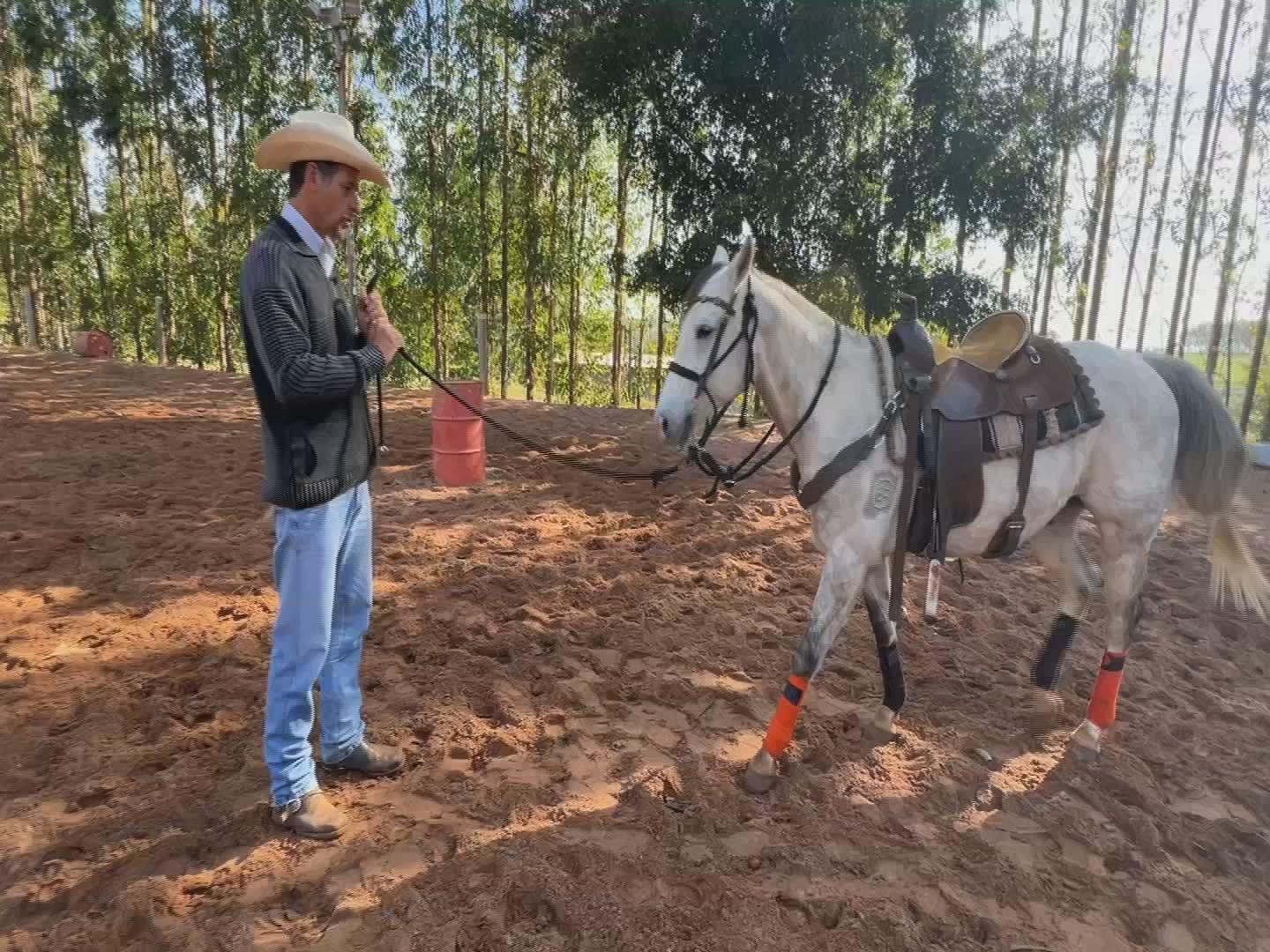 Você Não Tá Convidada pro Meu Bat Mitzvá!