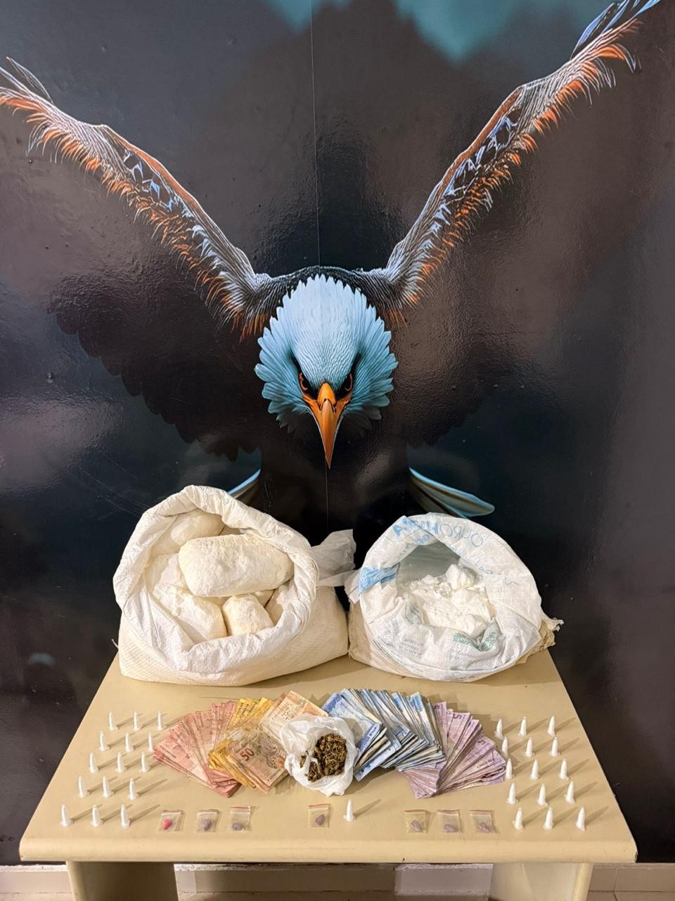 Polícia desarticula laboratório de drogas e apreende mais de 11 kg de cocaína em Petrolina