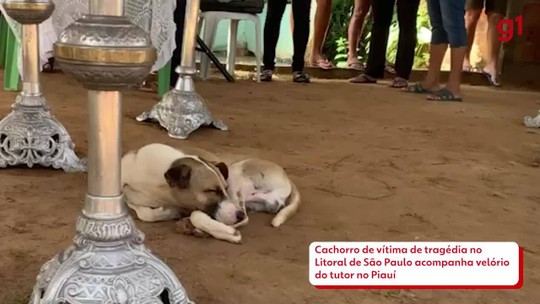 Piauiense vítima de tragédia foi para SP há um mês para trabalhar e sonhava em reformar casa no Piauí