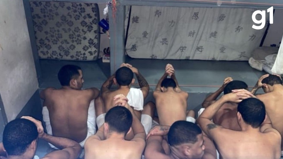 Não há garantias de complementação nutricional, sendo essa a única alimentação recebida dia após dia. — Foto: Reprodução