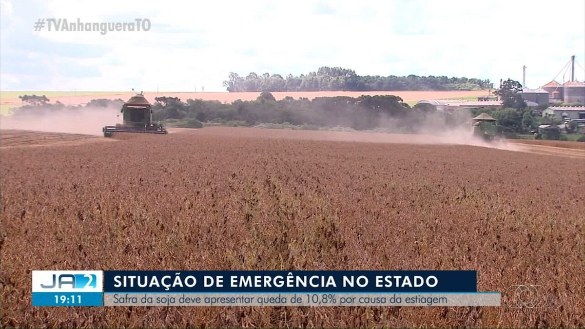 Produtividade Da Soja Deve Ter Queda De 10 8 Por Causa Da Falta De Chuva No Tocantins