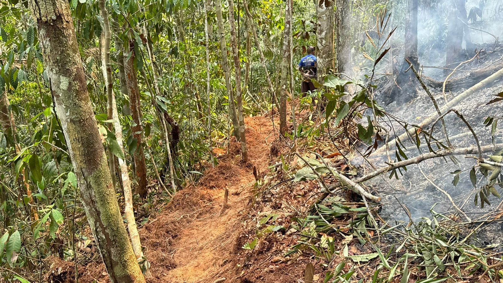 Serra do Divisor: trabalho de combate a incêndio em parque ambiental no Acre entra no 3º dia 