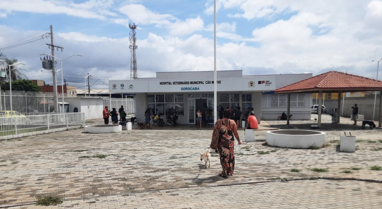 Hospital Veterinário Municipal 'Cão Mayke' é autuado por irregularidades e falta de registro em Sorocaba 