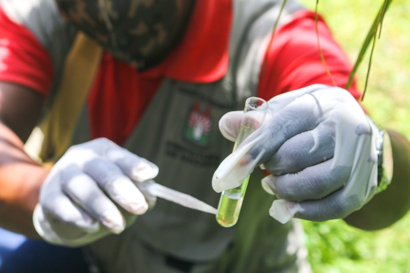 LiraA não identificou áreas de risco para infecção por Aedes aegypti em Macapá