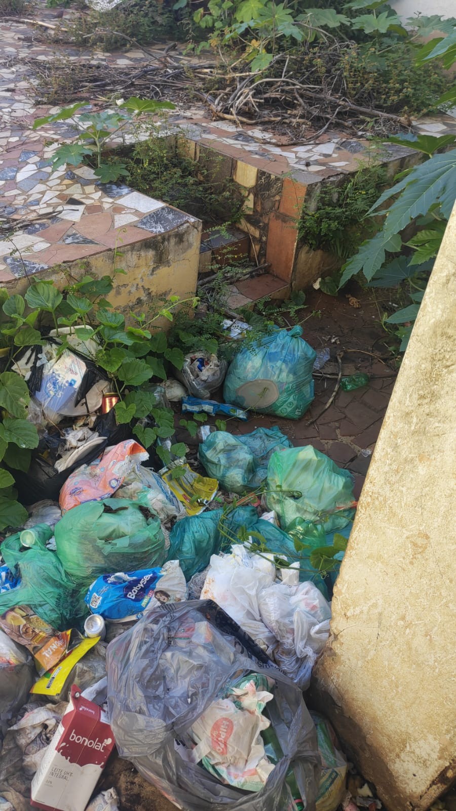 VÍDEO: crianças de 2, 5 e 11 anos são resgatadas em casa com condições insalubres no centro de Paulínia