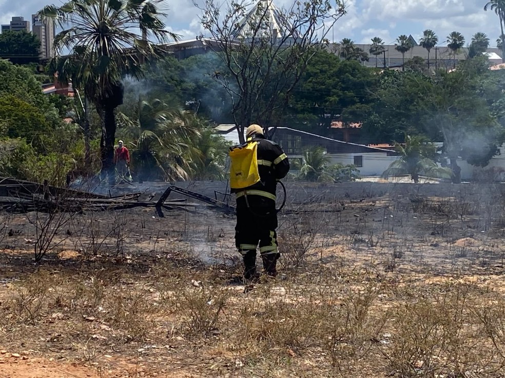 Bombeiros combateram incêndio em área de mata na UFRN — Foto: Victor Eduardo/Inter TV