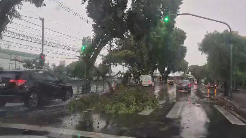 Defesa Civil emite alerta severo para chuva forte no Vale do Paraíba