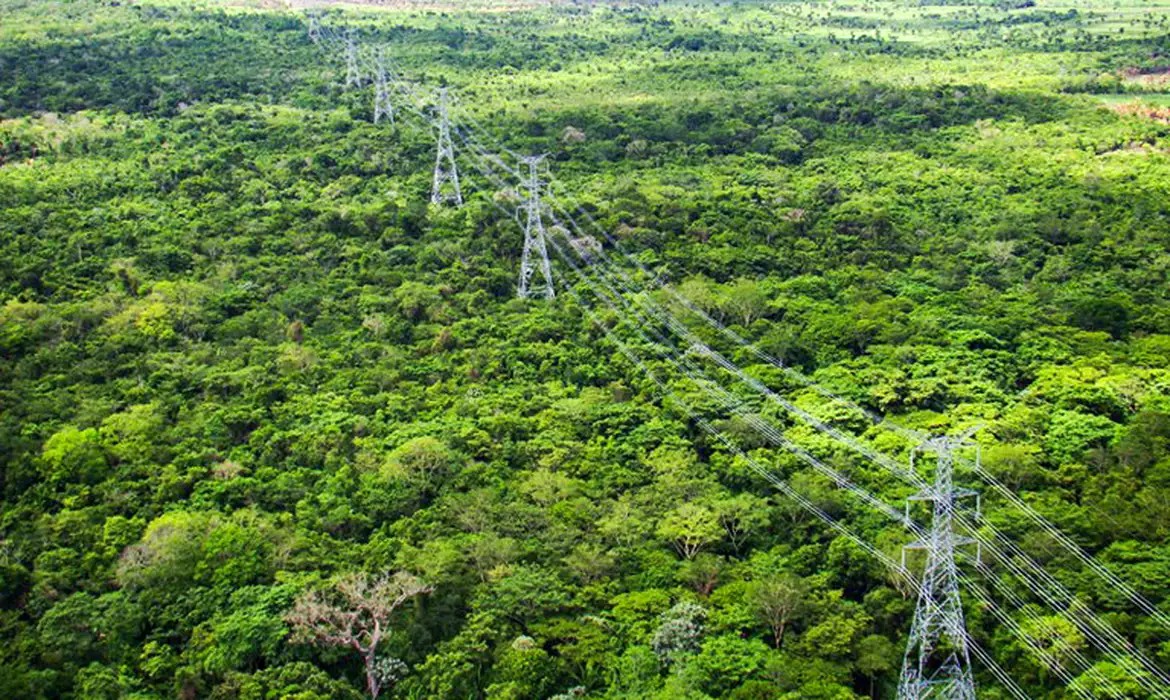 Roraima deve receber R$ 165 milhões para reduzir conta de luz