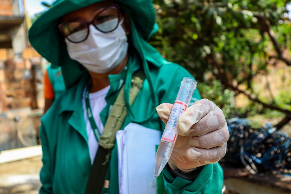 Dengue no Amazonas — Foto: Liam Cavalcante, da Rede Amazônica