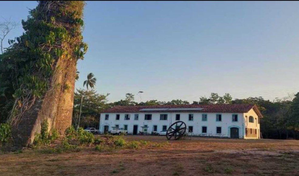 Quilombo Frechal, localizado em Mirinzal no Maranhão. — Foto: Mariana Zanchetta