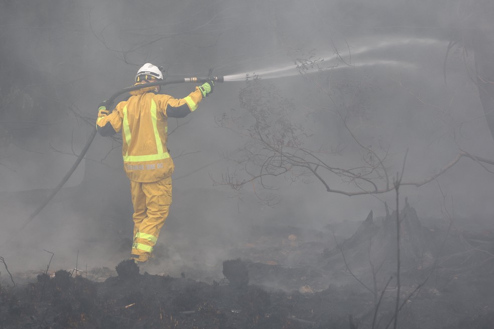 Chuva ajuda bombeiros no combate às chamas em Waimes, Bélgica — Foto: REUTERS/Yves Herman