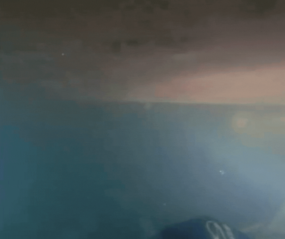 VÍDEO: durante treinamento, mergulhadores encontram 270 kg de cocaína escondidos em casco de navio em SC