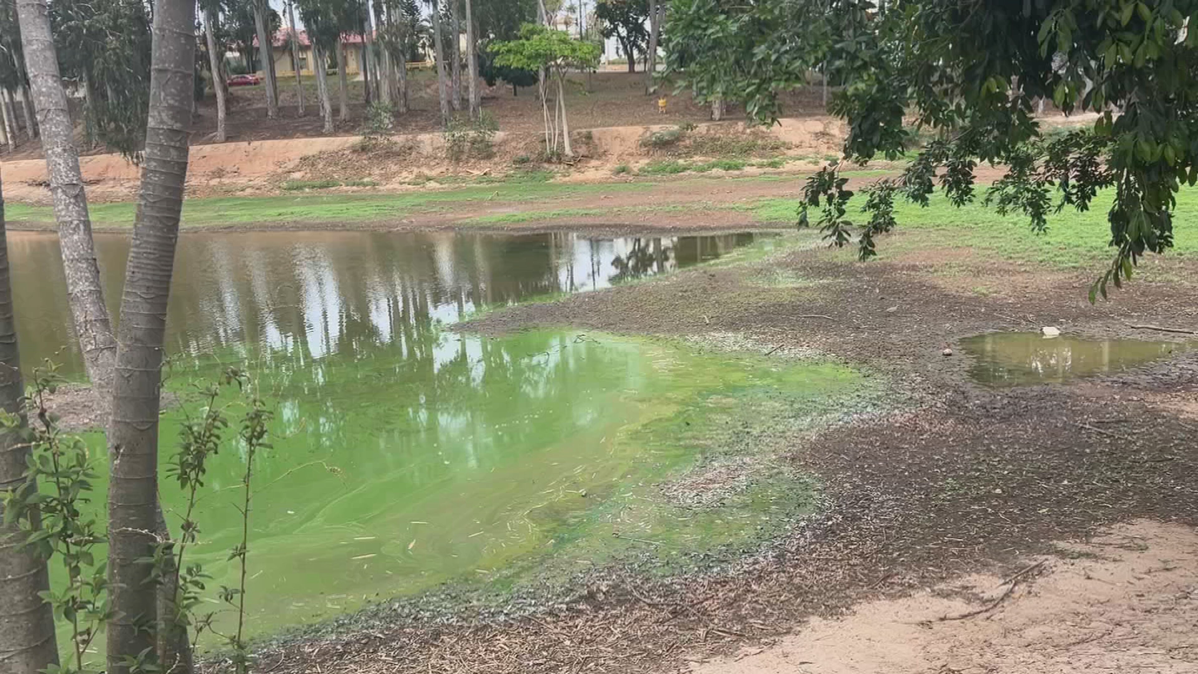 Longo período de estiagem seca água de lago na zona norte de Marília