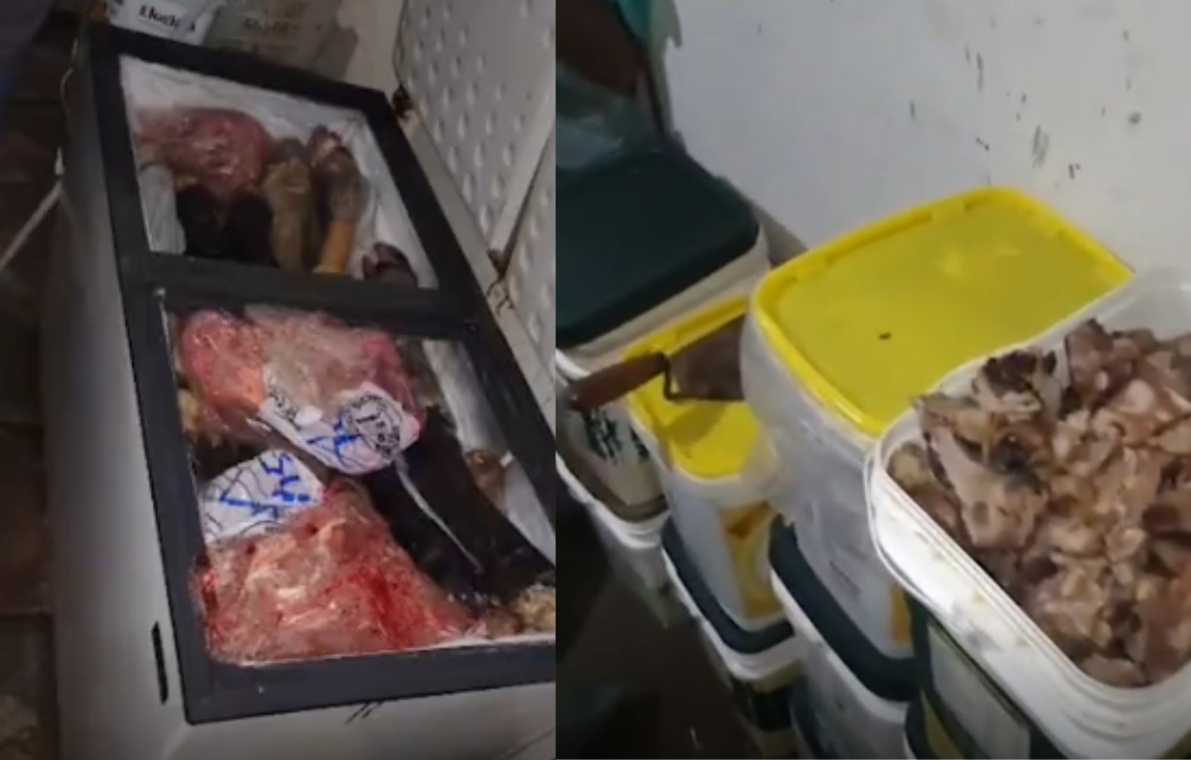 Oito toneladas de carne imprópria para consumo são apreendidas em Lagarto 