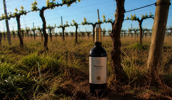 Reserva Familiar Tannat é um vinho tinto uruguaio de excelente custo-benefício. — Foto: Divulgação.