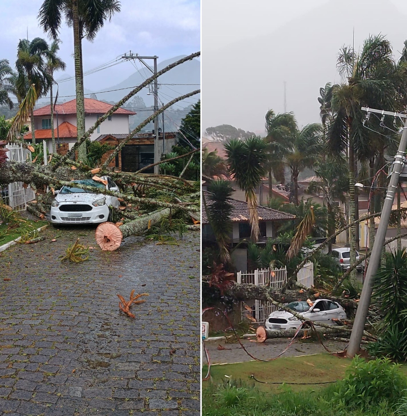 Praça é parcialmente interditada em Nova Friburgo após risco de queda de árvores