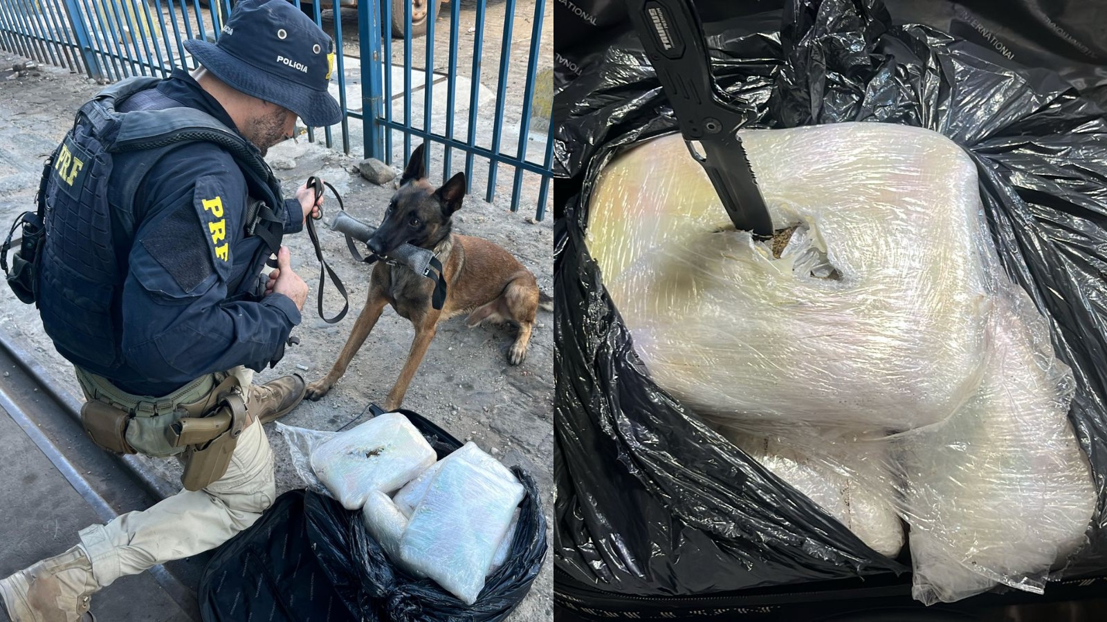 Jovem é preso ao transportar mais de 10 kg de maconha em ônibus em Teresina
