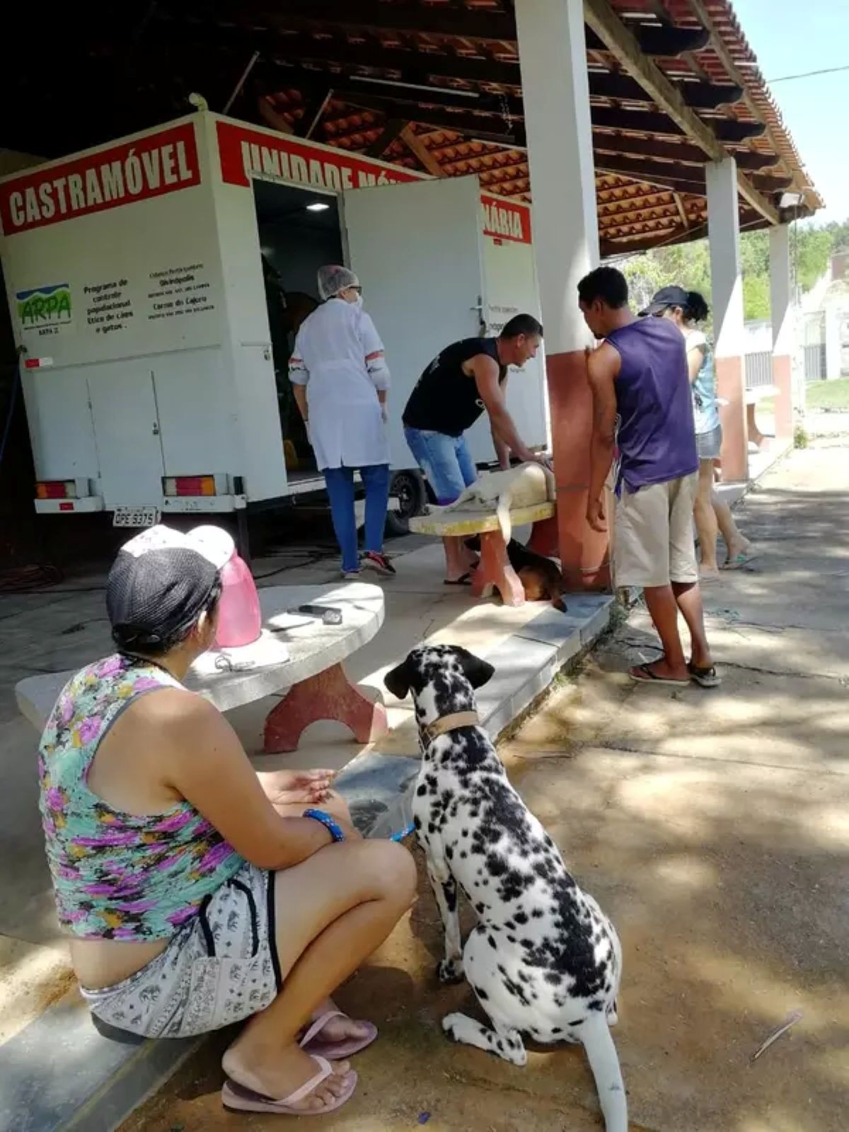Veja como fazer inscrição para castração de cães e gatos em Divinópolis