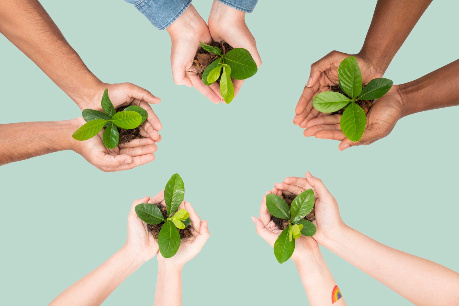 Lá Vem o Enem: questões sobre ecologia