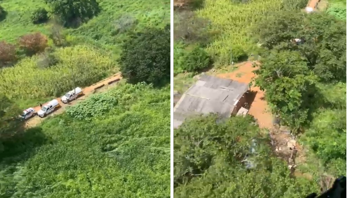 Pai é preso após agredir companheira, sequestrar bebê e fugir para mata em Periquito