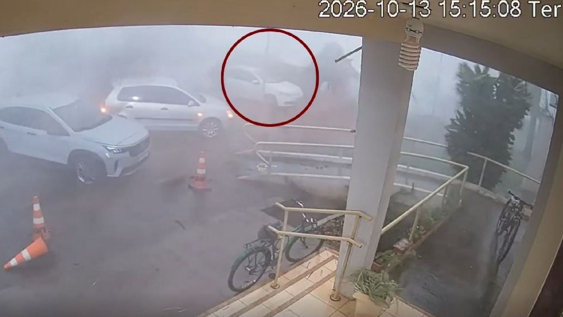 Câmera de segurança registra árvore caindo sobre carro durante temporal em Promissão; VÍDEO