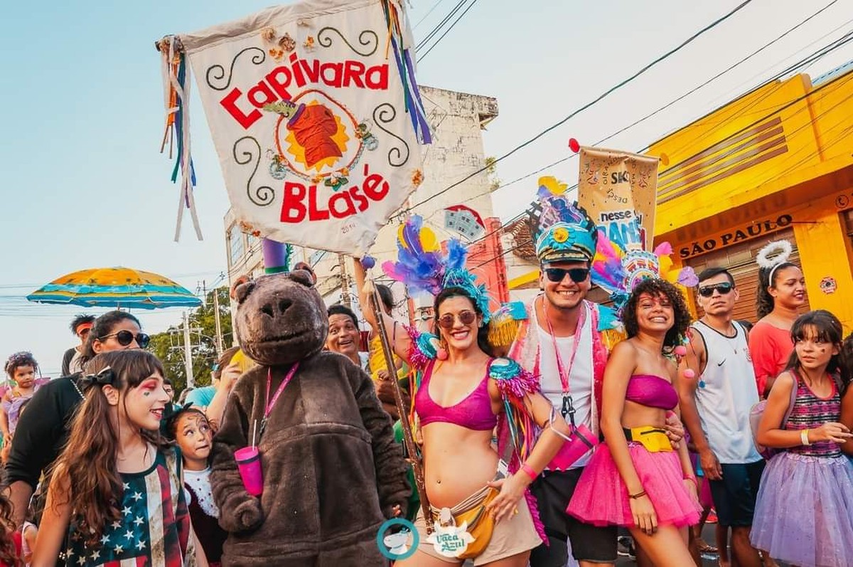 Carnaval 2023: Capivara Blasé confirma bloco de rua, em Campo Grande | Mato Grosso do Sul | G1