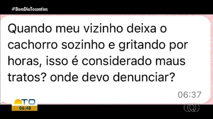 Advogado tira dúvidas sobre o crime de maus-tratos aos animais no Bom Dia Responde