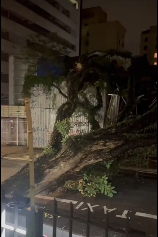 Vídeo: São Paulo tem quedas de árvores e alagamentos durante chuva; imóveis ficam sem luz