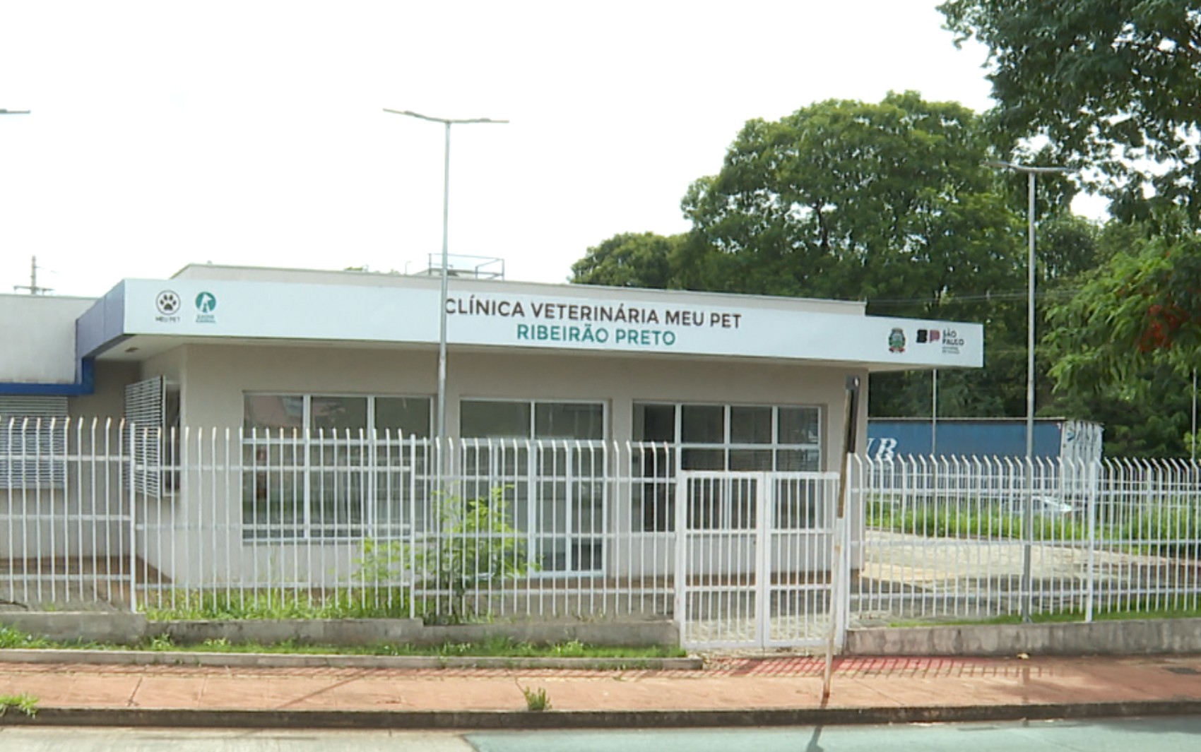 Sem data para hospital público veterinário abrir em Ribeirão Preto, protetores dizem acumular dívidas com atendimentos particulares