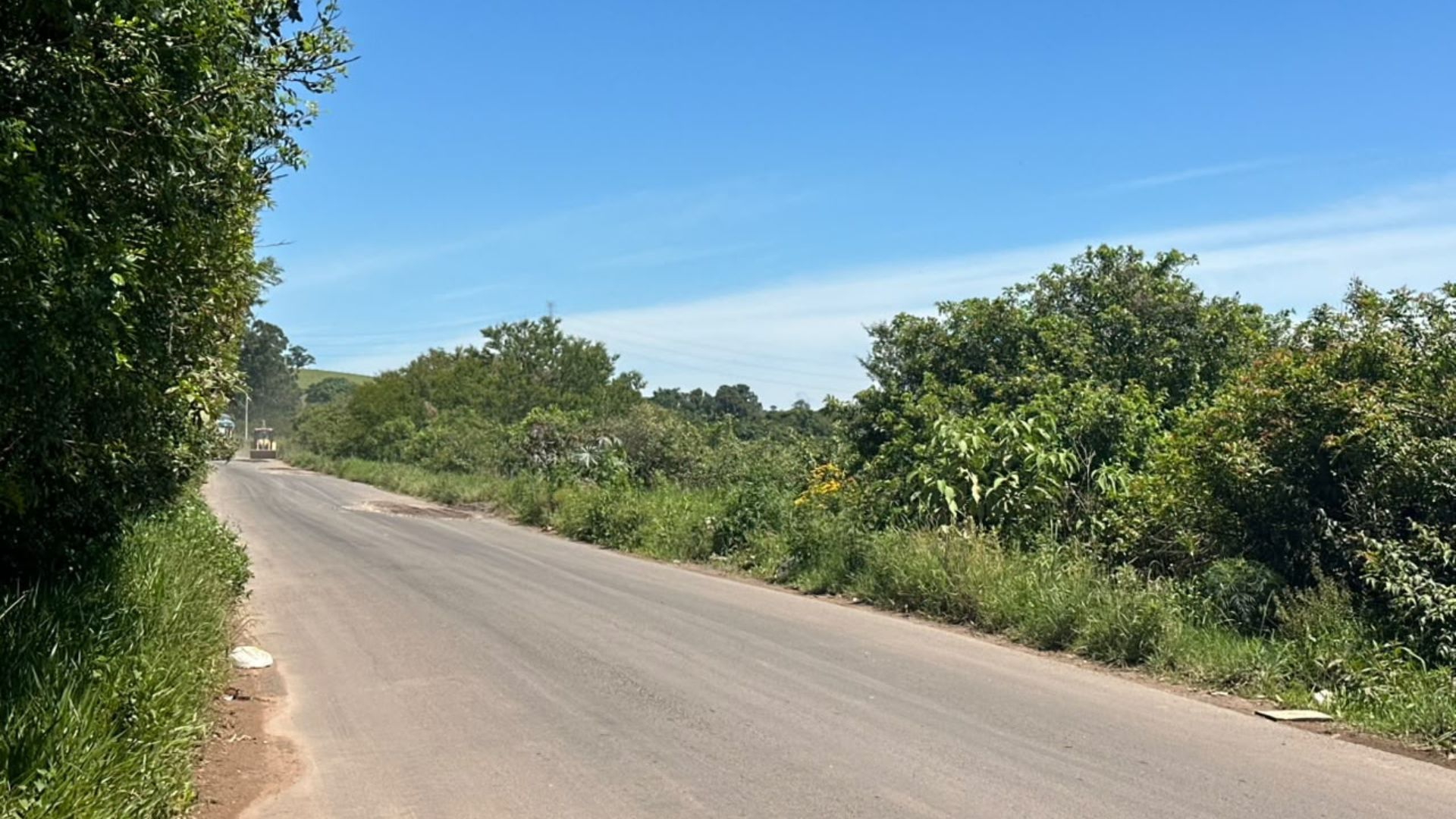 Menino de 5 anos é encontrado sozinho chorando e com ferimentos em área de mata e polícia do RS investiga o que aconteceu