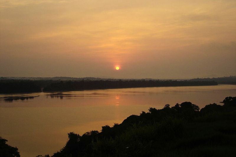 Dono de 7 mil cabeças de gado, fazendeiro é condenado a pagar R$ 3 milhões por desmatar parque nacional no Pará