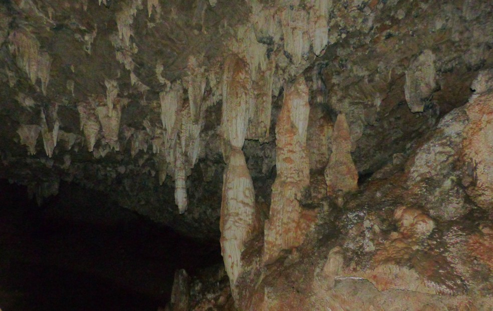 Dentro da caverna, estalactites e estalagmites podem ser unir e formar colunas — Foto: g1/Arquivo