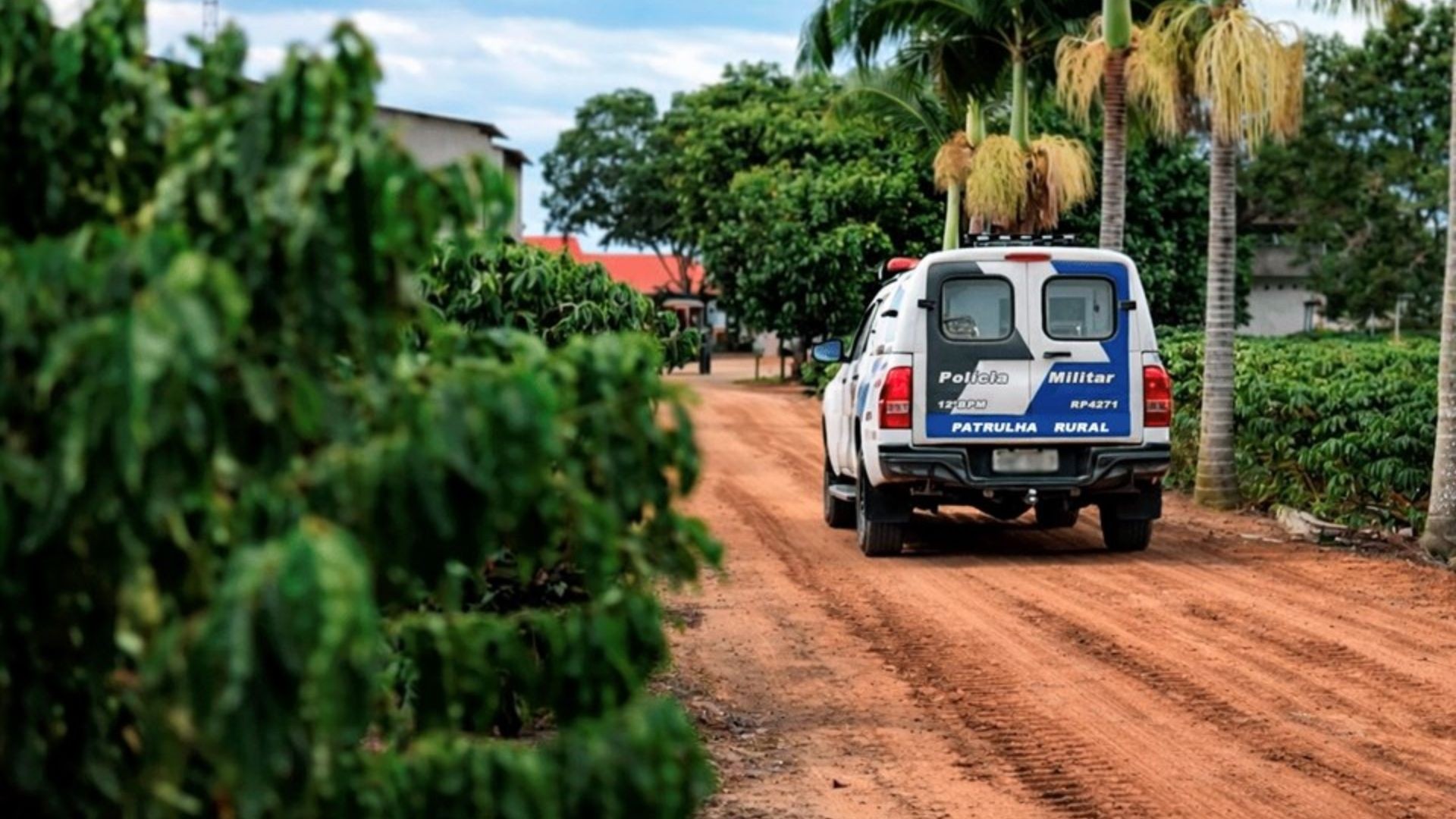 Com medo de furtos, produtores reforçam segurança e deixam de armazenar café e pimenta no ES