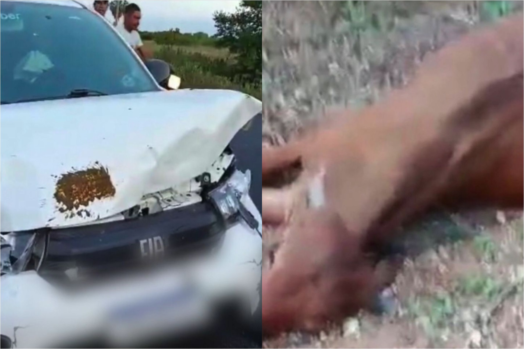 Filho do cantor Neto Araújo, ex-Cavaleiros do Forró, sofre acidente a caminho do velório do pai