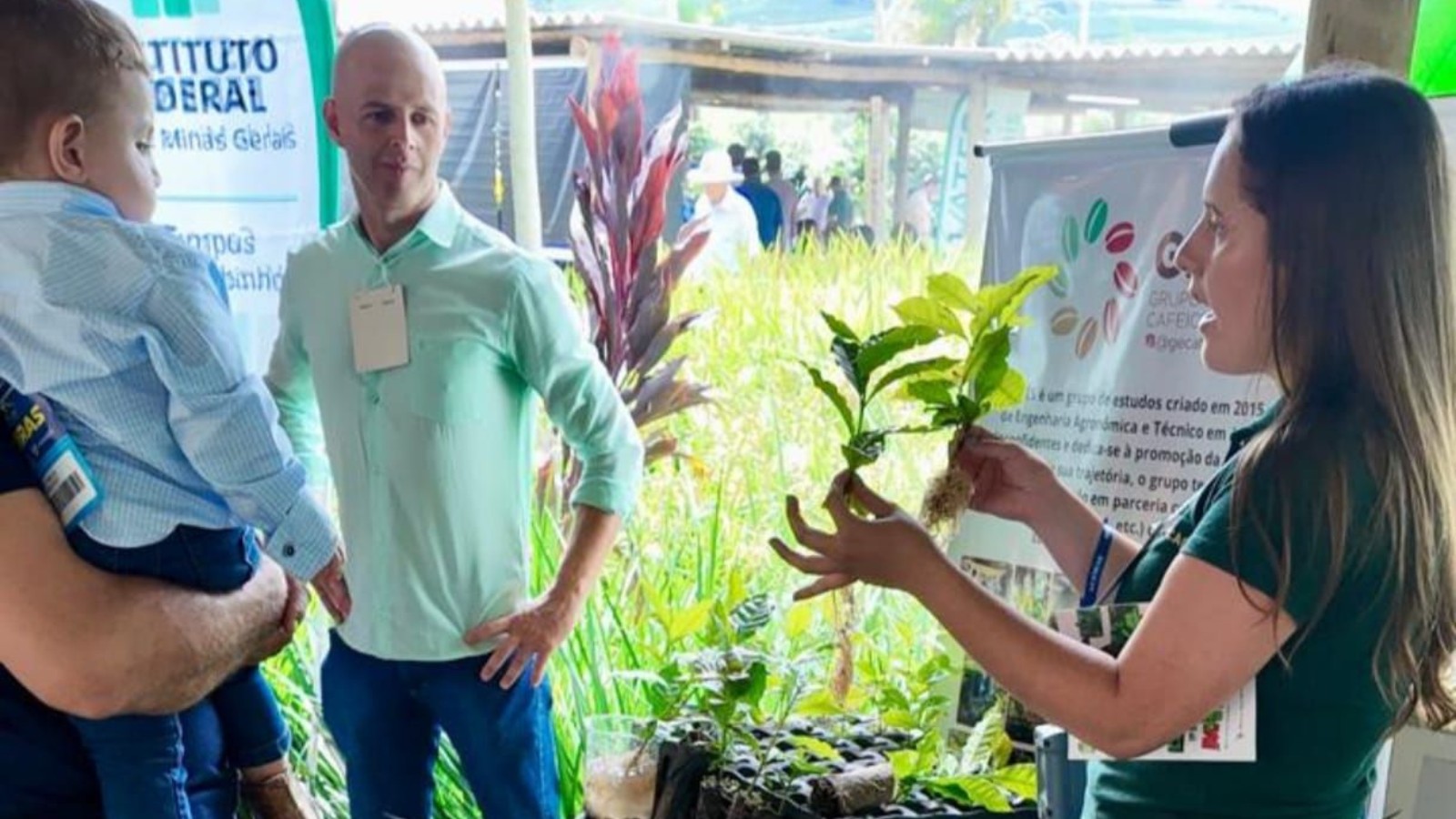 Produtores buscam técnicas para ampliar sustentabilidade na produção de café