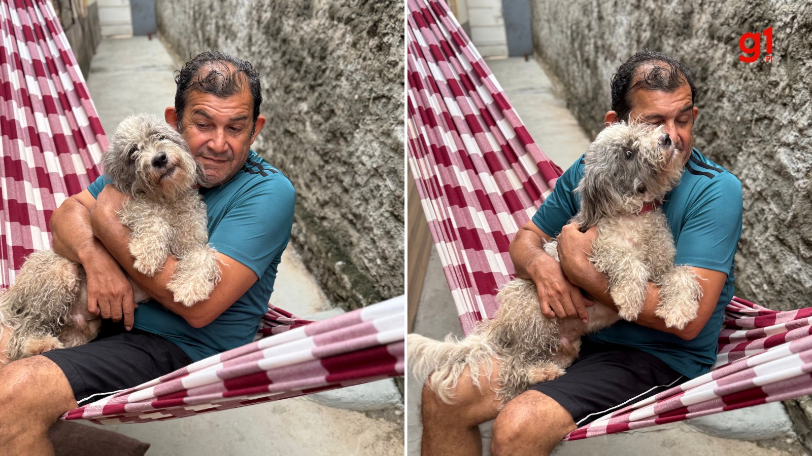 Vídeo: Família reencontra cachorro desaparecido há mais de seis meses em Teresina: ‘Nunca desisti, sempre acreditei’