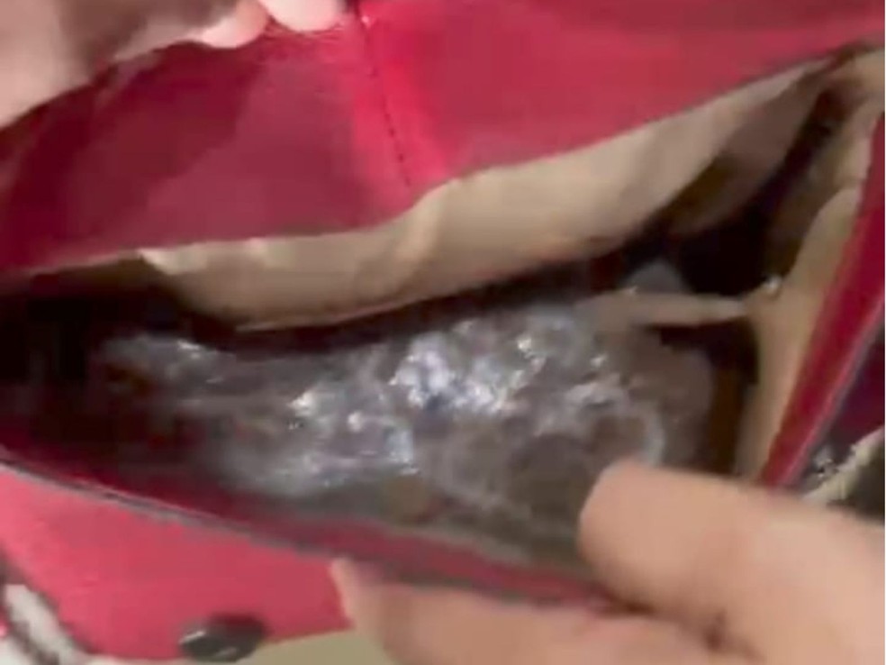 Parte da maconha estava dentro da bolsa da advogada — Foto: Reprodução