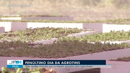 Agrotins: feira recebe visitantes e apresenta inovações aos agricultores