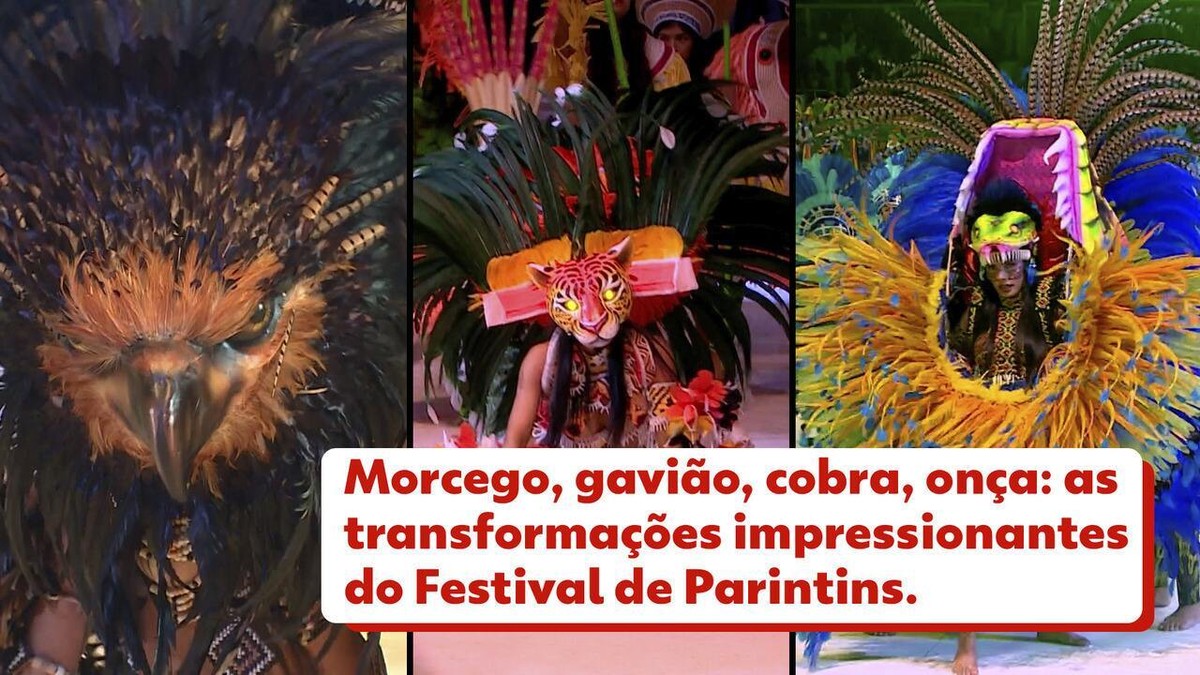 Bat, hawk, snake, jaguar: impressive transformations at the Barentins Festival |  Parentins Festival