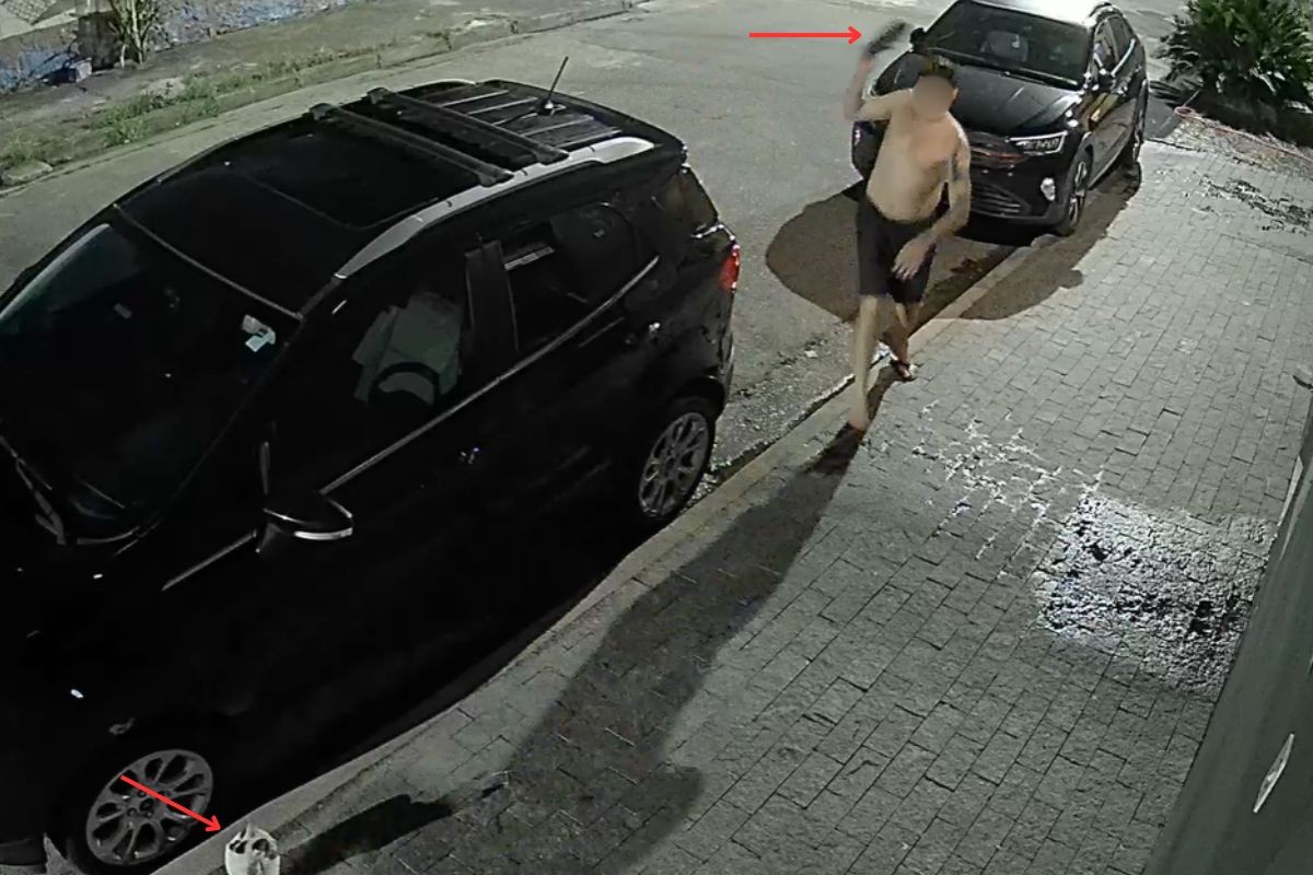 Vídeo mostra homem atirando chinelo em gato no litoral de SP; suspeito é acusado de ameaçar vizinho com arma