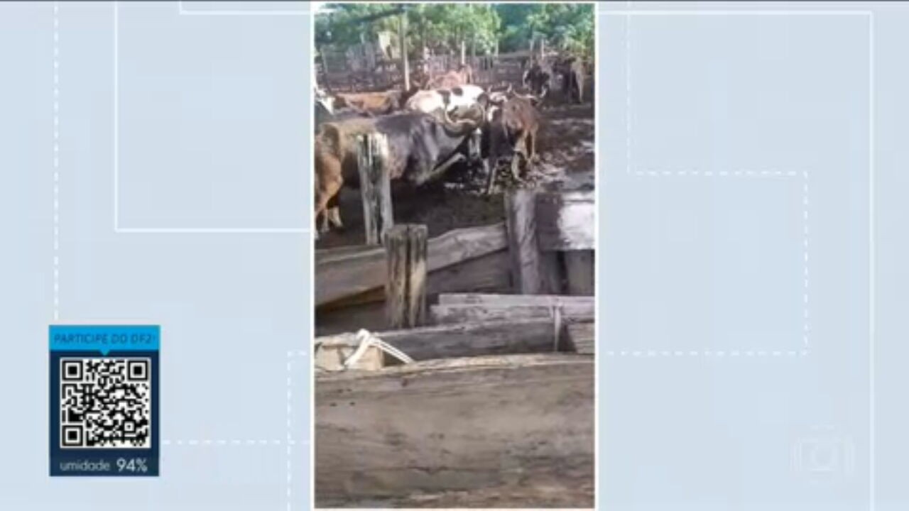 VÍDEOS: DF2 de quinta-feira, 2 de abril de 2026