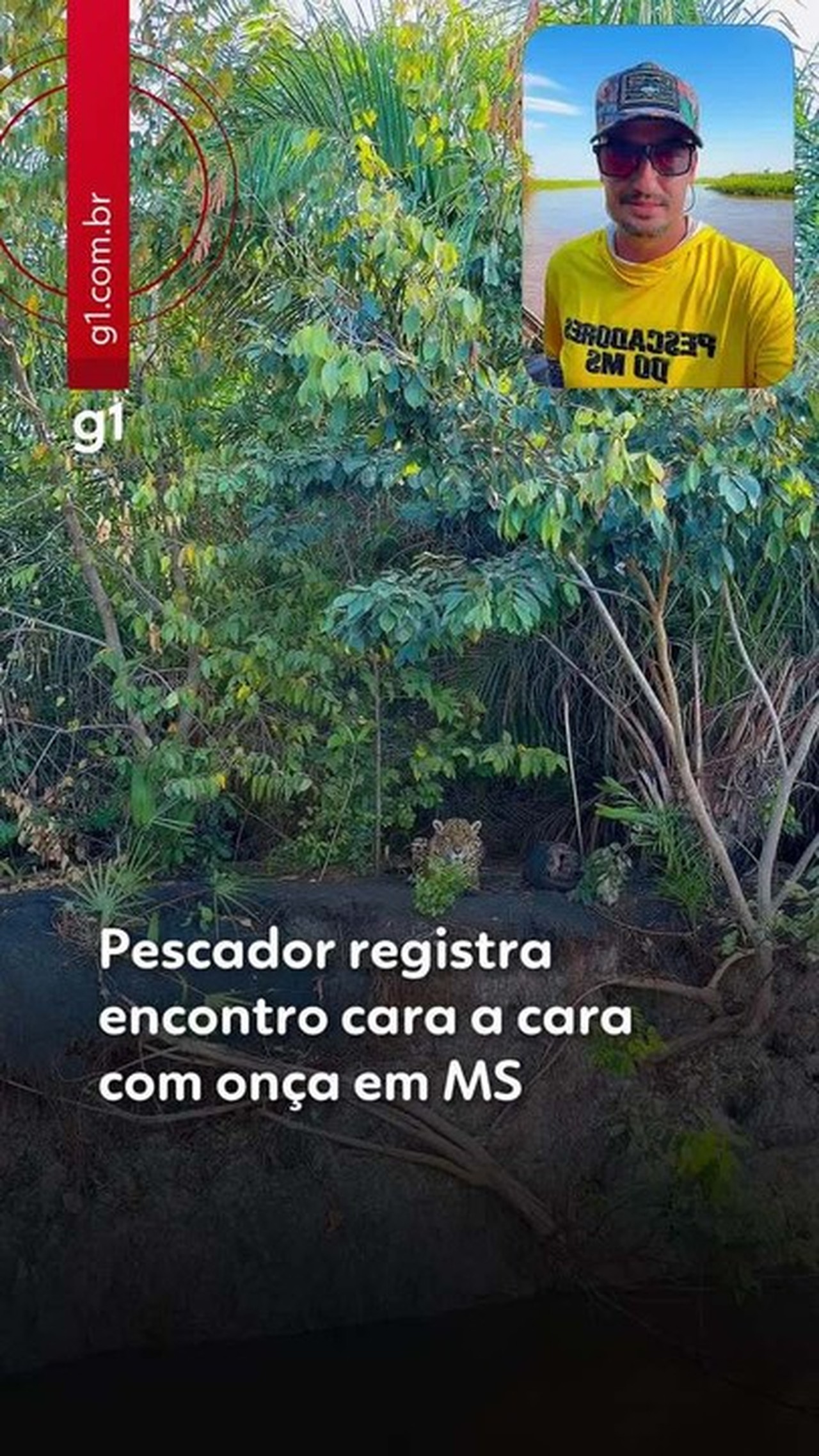 Pescador fica cara a cara com onça-pintada durante expedição de 300 km pelo Pantanal de MS