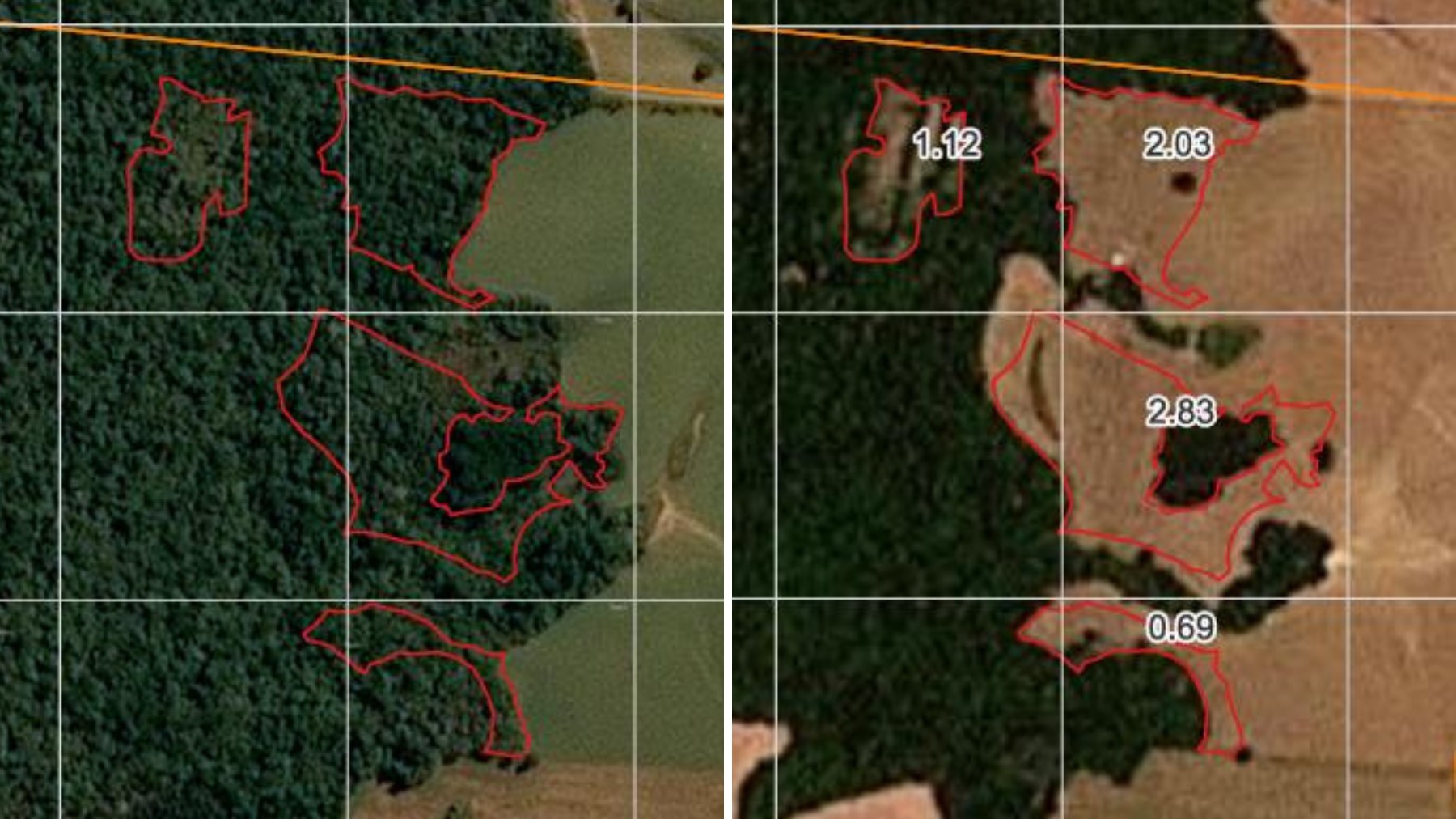 Imagens de satélite levam à descoberta de desmatamento ilegal, multa de R$ 109 mil e investigação de crime, no Paraná