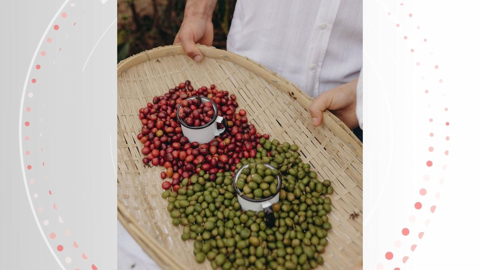Halana Valani Colodette, de 21 anos, e o marido, Jônatas Poleto Lúcio, de 26, fizeram um chá revelação na propriedade de café do casal, em Castelo, Espírito Santo. — Foto: Mirely Valani