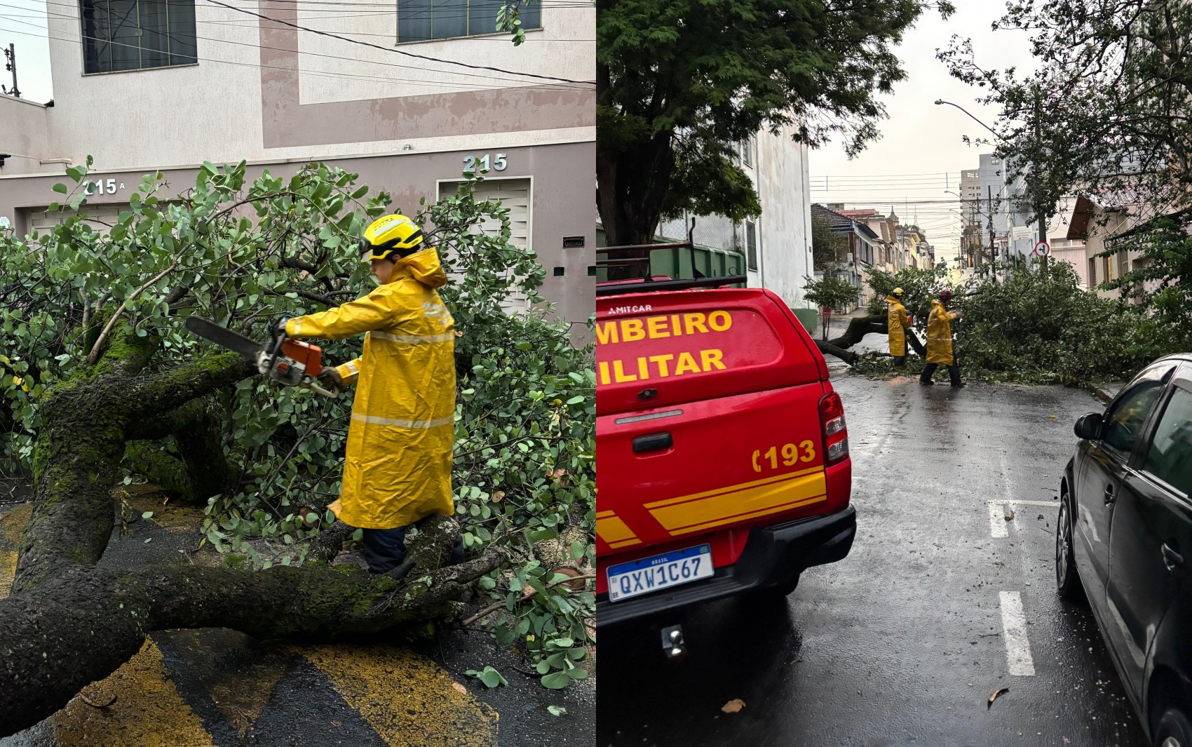 Chuva com ventos fortes provoca queda de árvores e postes em Alfenas, diz Defesa Civil