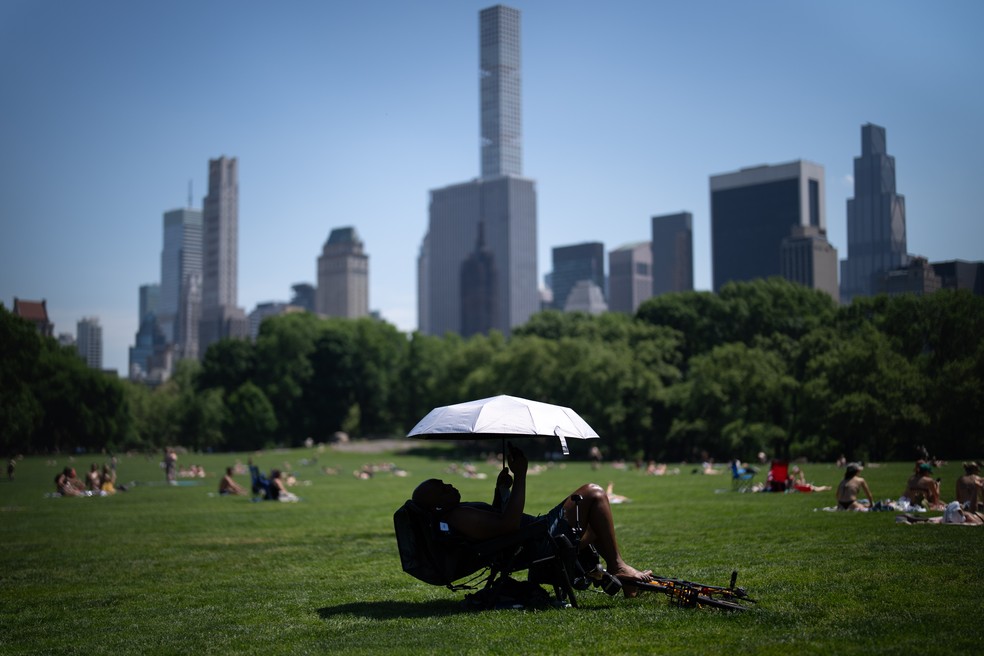 Uma pessoa usa um guarda-chuva para se proteger do sol durante um alerta de calor no Central Park, em Nova York, em 19 de maio de 2026. — Foto: AP Photo/Adam Gray