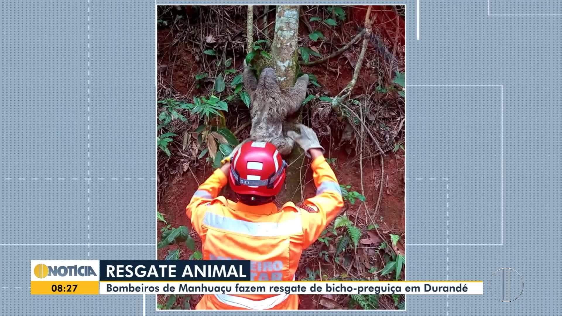 VÍDEOS: Inter TV Notícia desta terça-feira, 28 de janeiro de 2025